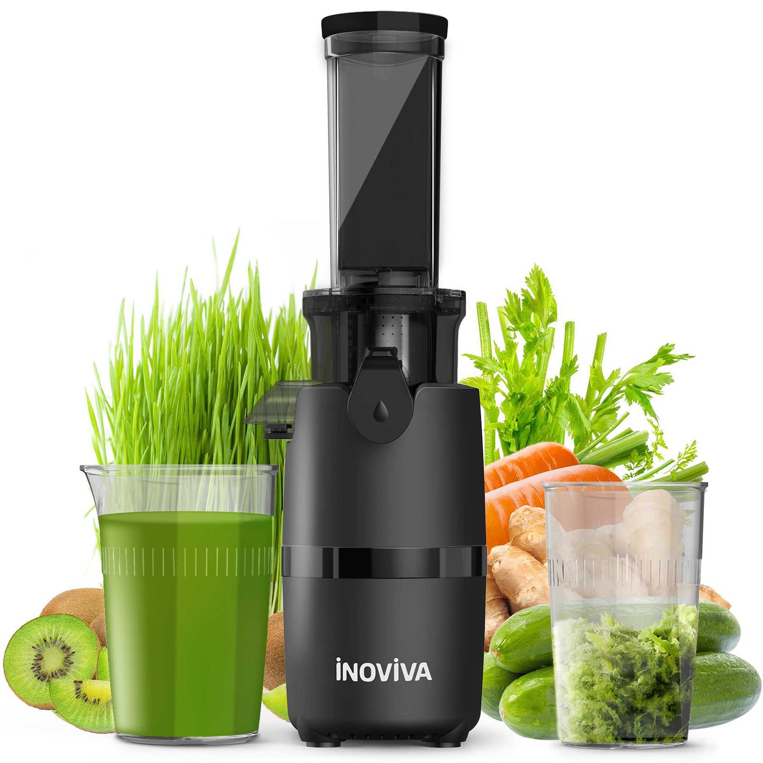 Inoviva Cold Press Juicer