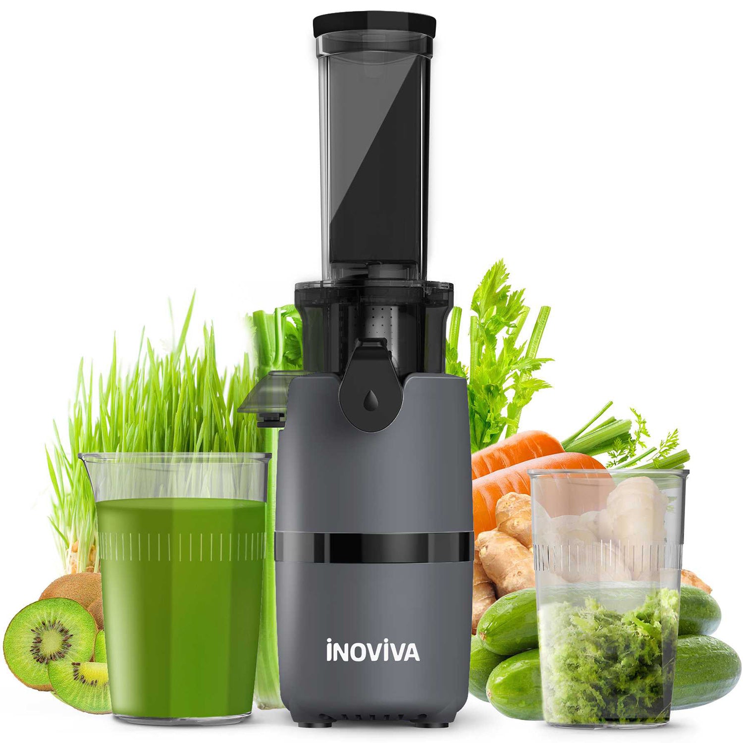 Inoviva Cold Press Juicer