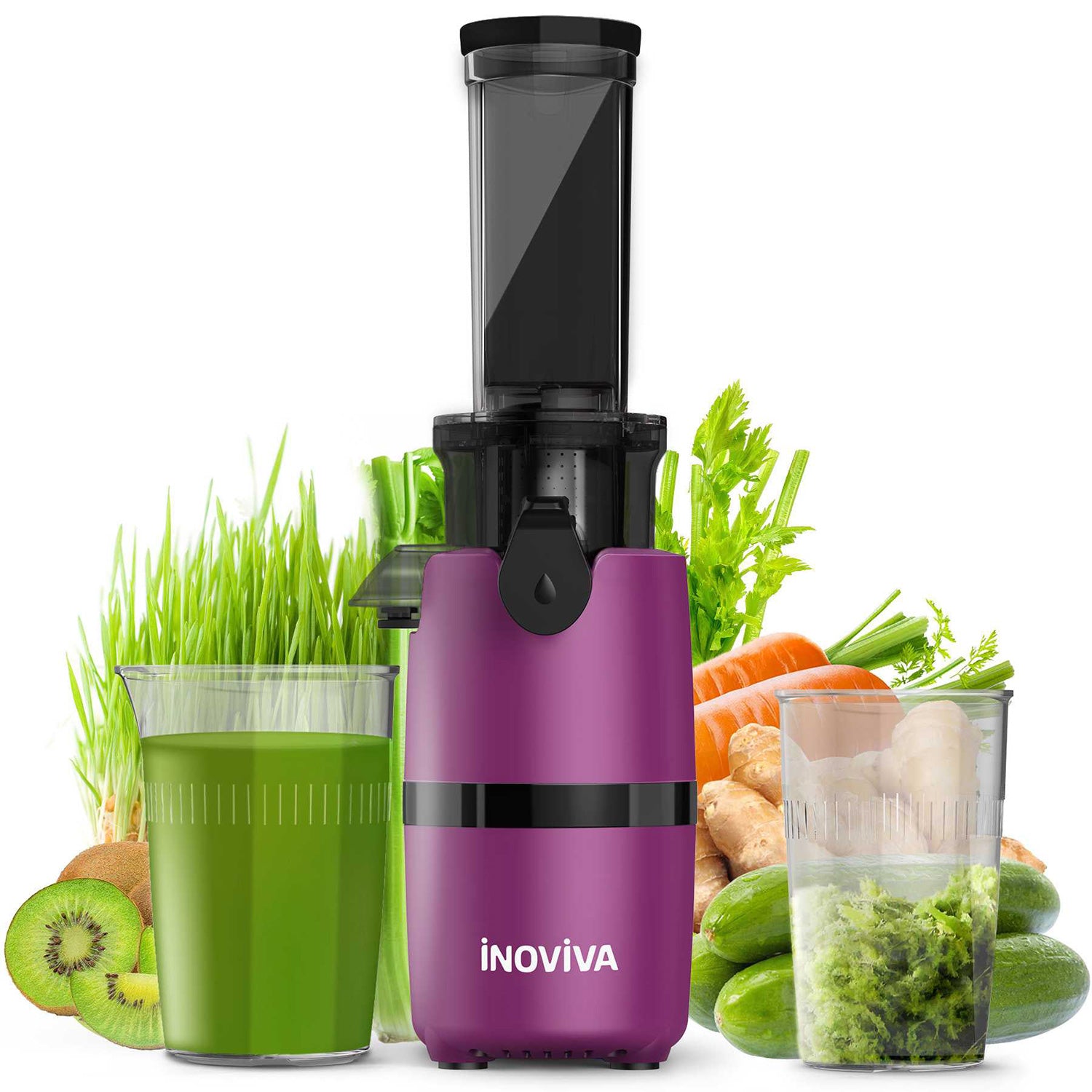 Inoviva Cold Press Juicer